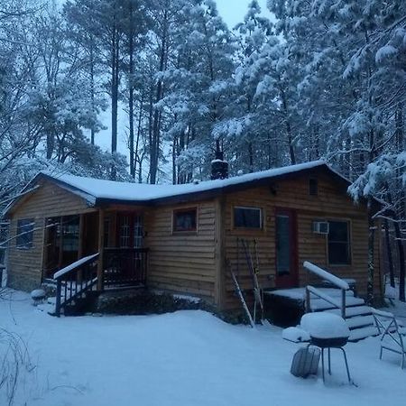 Rustic Quaint Cabin In The Woods--Pets Welcomed Dunnsville 외부 사진
