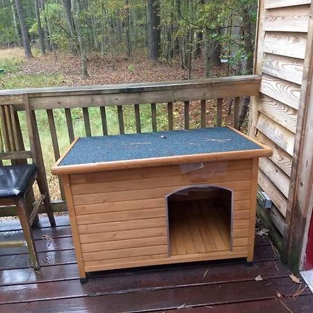 Rustic Quaint Cabin In The Woods--Pets Welcomed Dunnsville 외부 사진