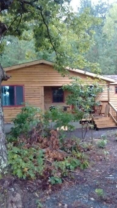 Rustic Quaint Cabin In The Woods--Pets Welcomed Dunnsville 외부 사진