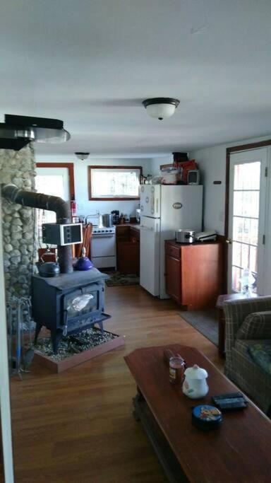 Rustic Quaint Cabin In The Woods--Pets Welcomed Dunnsville 외부 사진