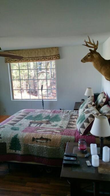 Rustic Quaint Cabin In The Woods--Pets Welcomed Dunnsville 외부 사진